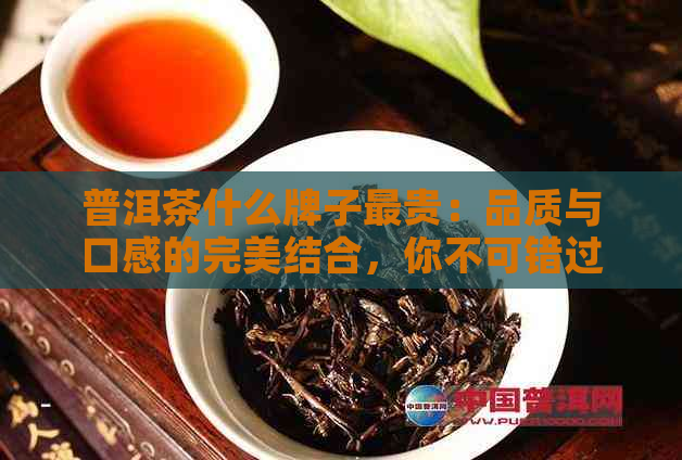 普洱茶什么牌子最贵：品质与口感的完美结合，你不可错过的高端！