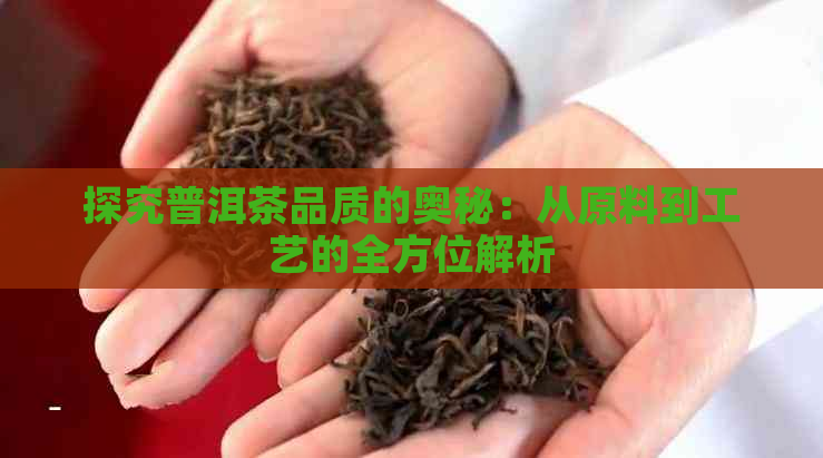 探究普洱茶品质的奥秘：从原料到工艺的全方位解析