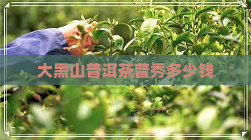 大黑山普洱茶普秀多少钱