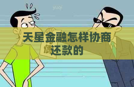 天星金融怎样协商还款的