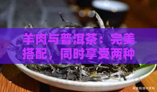 羊肉与普洱茶：完美搭配，同时享受两种美味与健功效