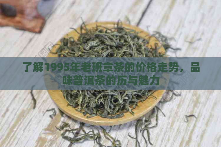 了解1995年老班章茶的价格走势，品味普洱茶的历与魅力