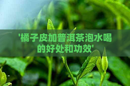 '橘子皮加普洱茶泡水喝的好处和功效'