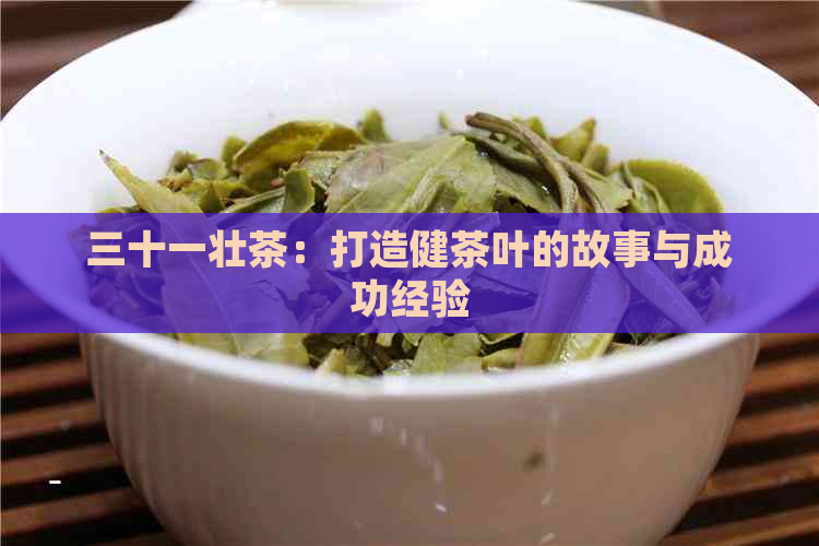 三十一壮茶：打造健茶叶的故事与成功经验