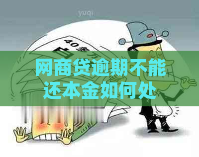 网商贷逾期不能还本金如何处理