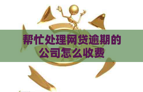 帮忙处理网贷逾期的公司怎么收费