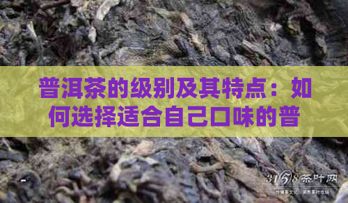 普洱茶的级别及其特点：如何选择适合自己口味的普洱茶？