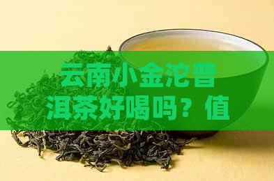 云南小金沱普洱茶好喝吗？值得买吗？小金沱普洱茶有何好处？