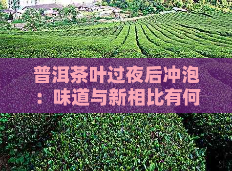 普洱茶叶过夜后冲泡：味道与新相比有何变化？