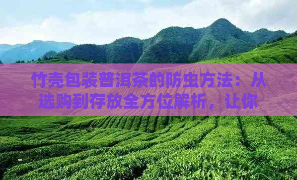 竹壳包装普洱茶的防虫方法：从选购到存放全方位解析，让你远离蛀虫困扰！