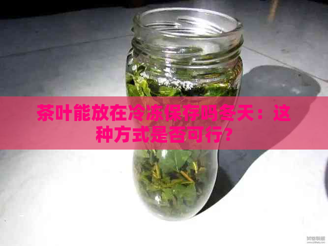 茶叶能放在冷冻保存吗冬天：这种方式是否可行？