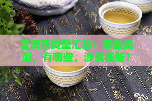 普洱茶类型汇总：哪些类型，有哪些，涉及哪些？