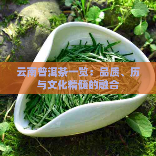 云南普洱茶一览：品质、历与文化精髓的融合