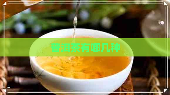 普洱茶有哪几种