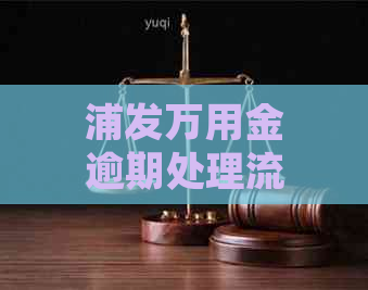 浦发万用金逾期处理流程及判罚标准