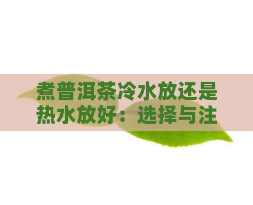 煮普洱茶冷水放还是热水放好：选择与注意事项