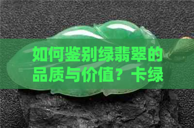 如何鉴别绿翡翠的品质与价值？卡绿翡翠的市场前景探讨