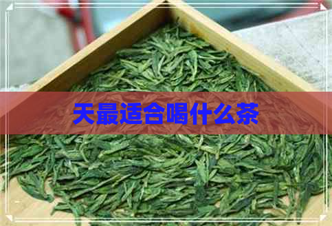 天最适合喝什么茶