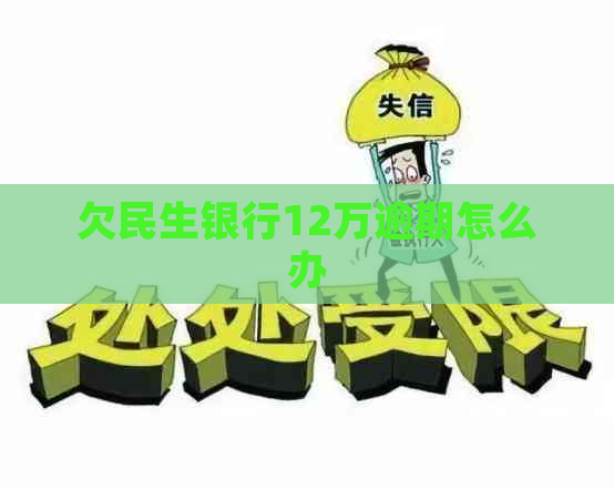 欠民生银行12万逾期怎么办