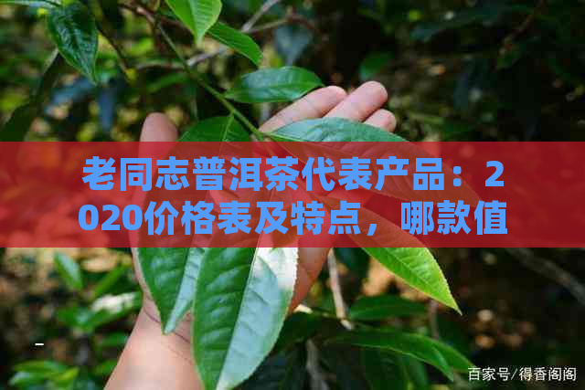 老同志普洱茶代表产品：2020价格表及特点，哪款值得收藏？