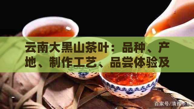 云南大黑山茶叶：品种、产地、制作工艺、品尝体验及购买渠道全方位解析