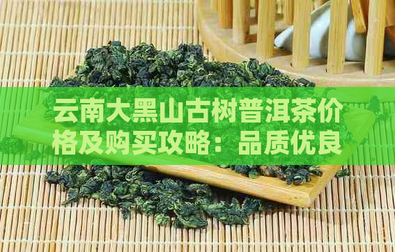 云南大黑山古树普洱茶价格及购买攻略：品质优良，收藏佳品