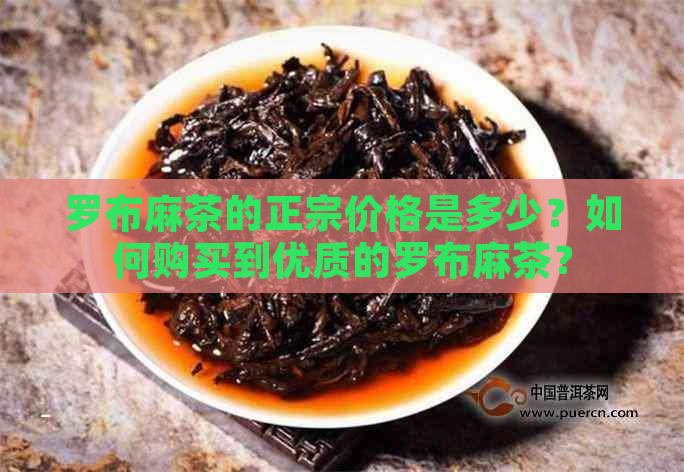 罗布麻茶的正宗价格是多少？如何购买到优质的罗布麻茶？