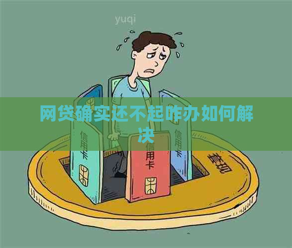 网贷确实还不起咋办如何解决