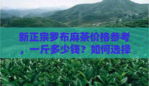 新正宗罗布麻茶价格参考，一斤多少钱？如何选择优质罗布麻茶叶？