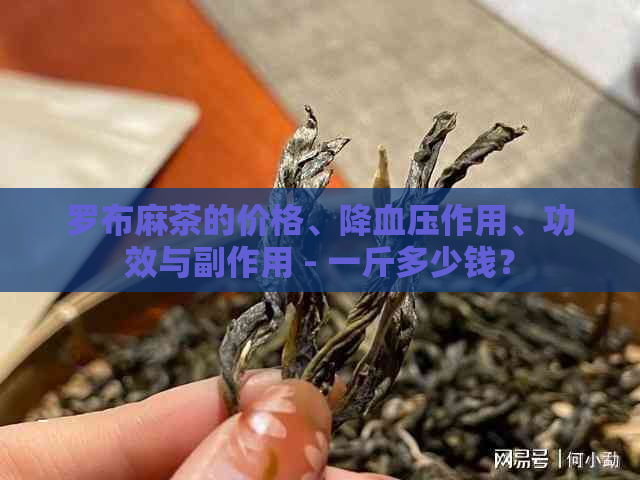 罗布麻茶的价格、降血压作用、功效与副作用 - 一斤多少钱？