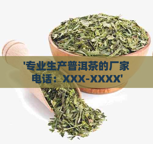 '专业生产普洱茶的厂家电话：XXX-XXXX'