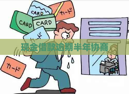 现金借款逾期半年协商