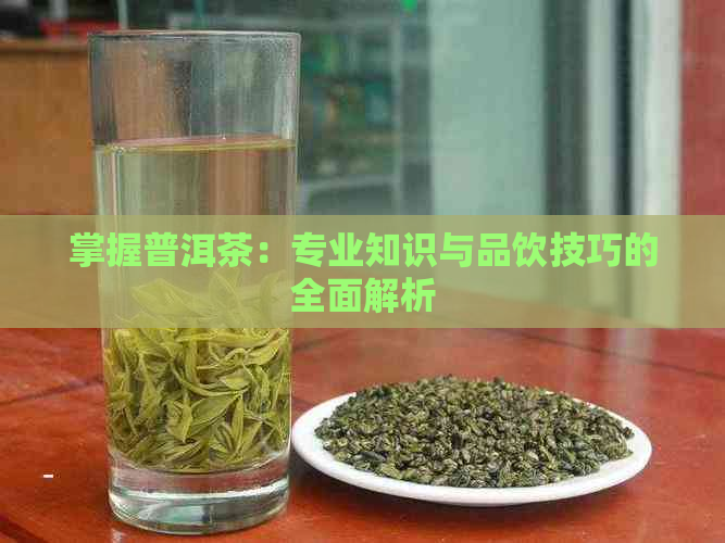 掌握普洱茶：专业知识与品饮技巧的全面解析