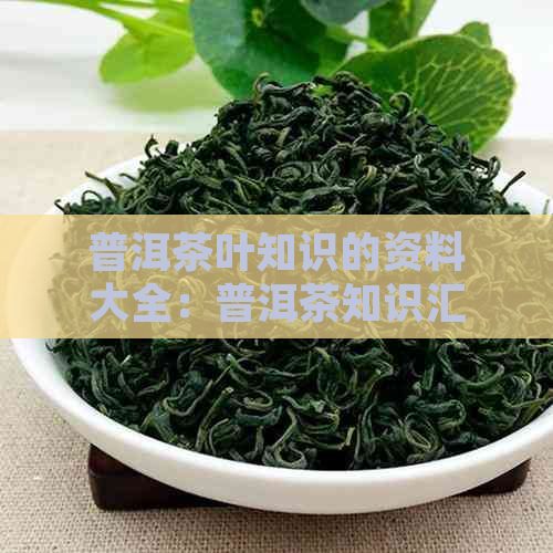 普洱茶叶知识的资料大全：普洱茶知识汇总与100问解析