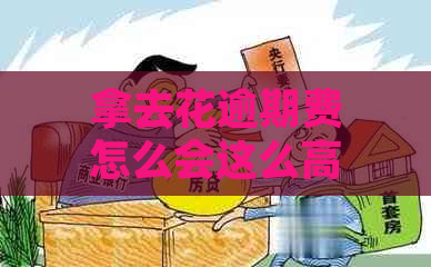 拿去花逾期费怎么会这么高