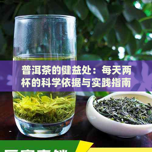 普洱茶的健益处：每天两杯的科学依据与实践指南