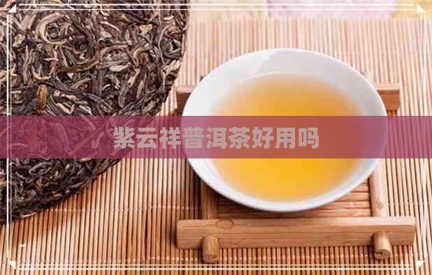 紫云祥普洱茶好用吗