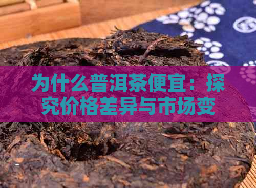 为什么普洱茶便宜：探究价格差异与市场变动