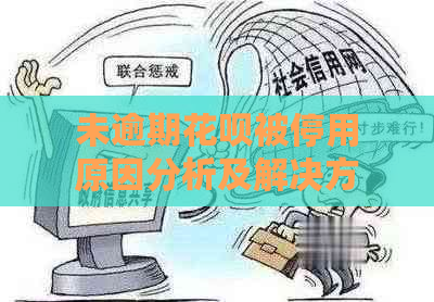 未逾期花呗被停用原因分析及解决方法