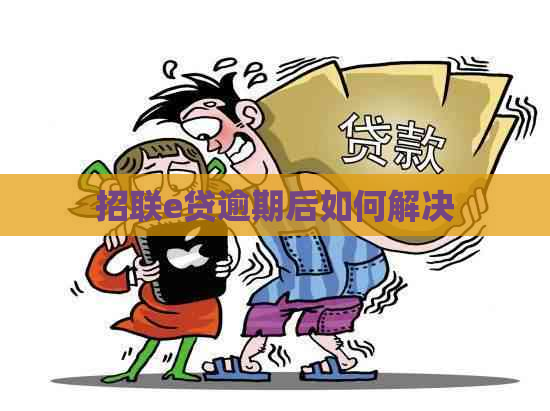 招联e贷逾期后如何解决