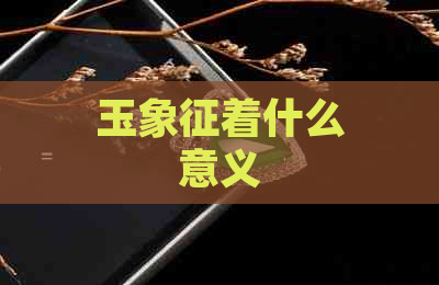 玉象征着什么意义