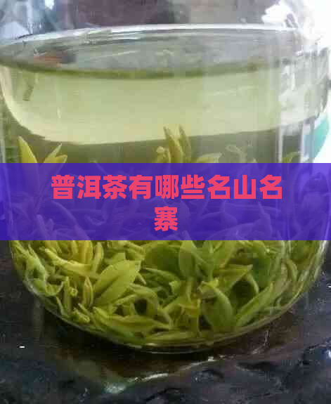 普洱茶有哪些名山名寨