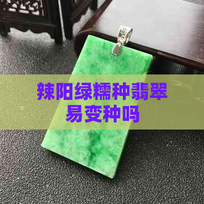 辣阳绿糯种翡翠易变种吗