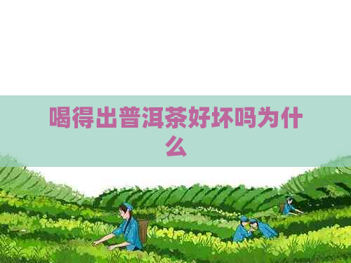 喝得出普洱茶好坏吗为什么