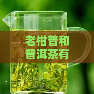 老柑普和普洱茶有什么区别