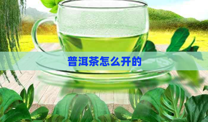 普洱茶怎么开的