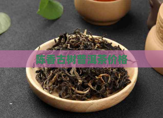 陈香古树普洱茶价格