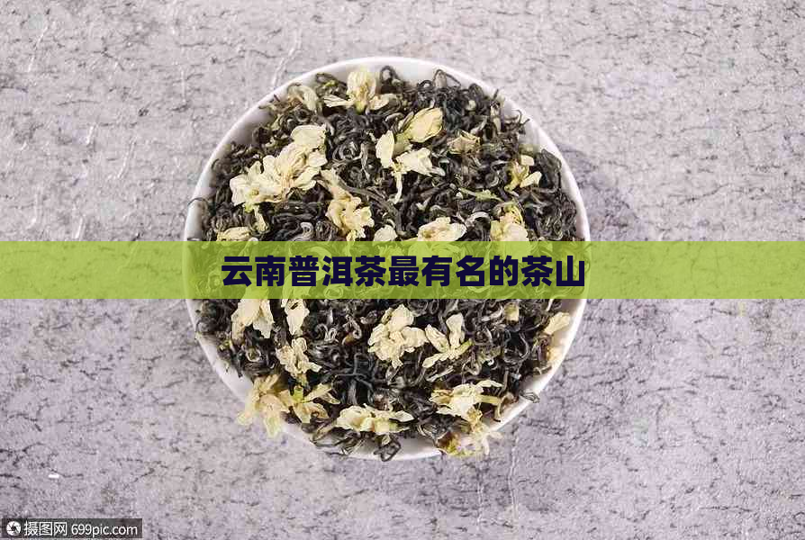 云南普洱茶最有名的茶山