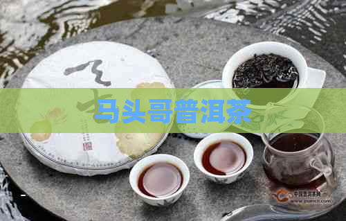 马头哥普洱茶