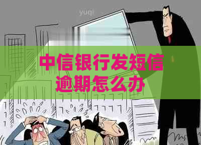 中信银行发短信逾期怎么办